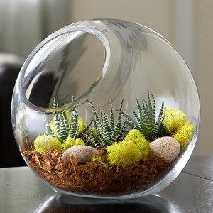 PP_13_000000SUC925_PC2073_W1_SQ