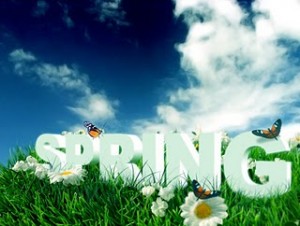 spring_cleaning